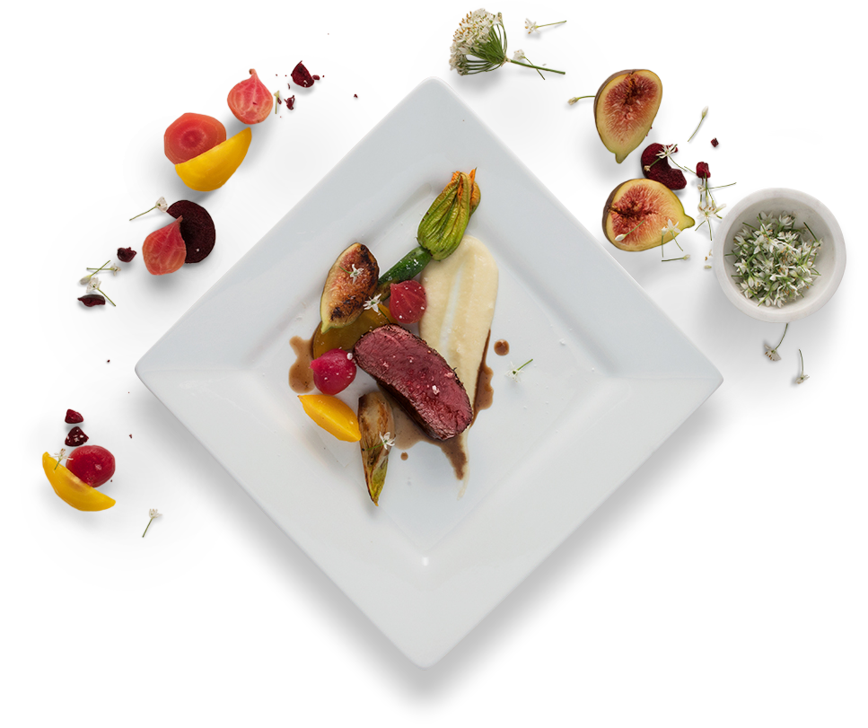 Gourmet venison dish