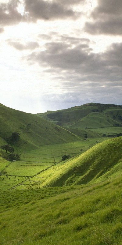 rolling hills of new zealand