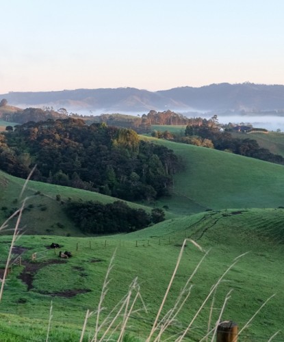 Misty New Zealand landscape