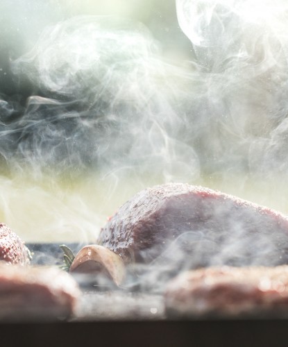 Venison fillets on the BBQ